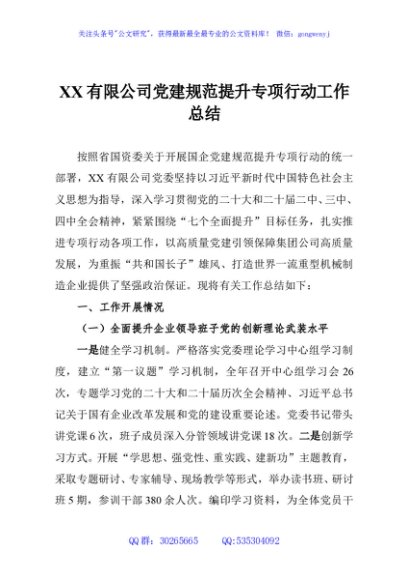 XX有限公司党建规范提升专项行动工作总结