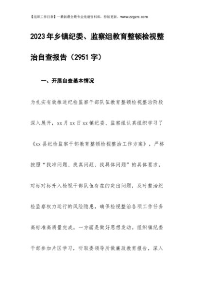 2023年乡镇纪委教育整顿检视整治自查报告