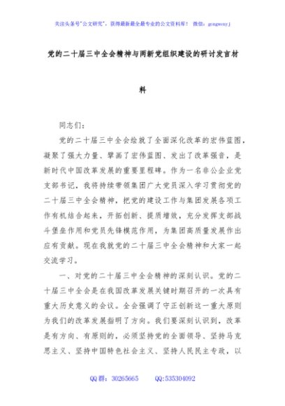 党的二十届三中全会精神与两新党组织建设的研讨发言材料