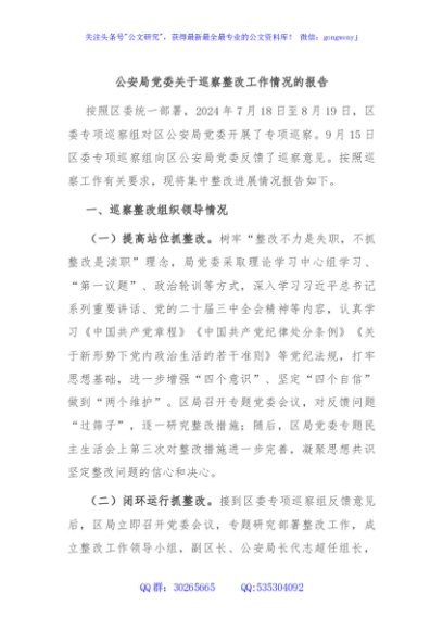 公安局党委关于巡察整改工作情况的报告