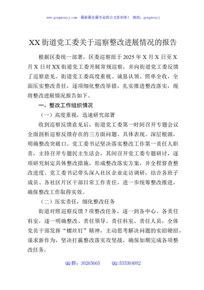 XX街道党工委关于巡察整改进展情况的报告