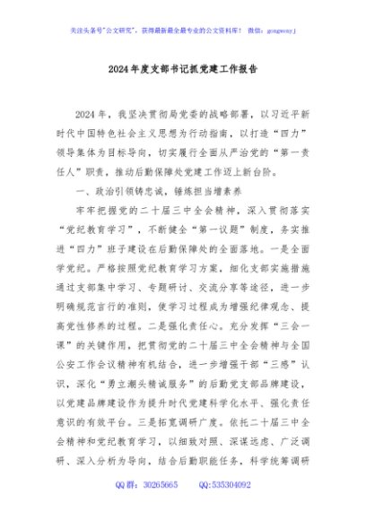 2024年度支部书记抓党建工作报告