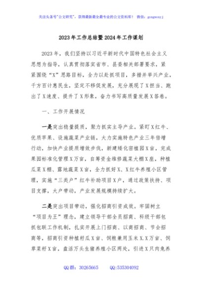 2023年工作总结暨2024年工作谋划
