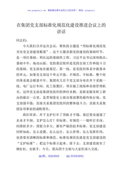 在集团党支部标准化规范化建设推进会议上的讲话
