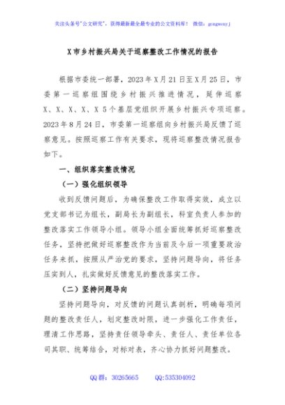 X市乡村振兴局关于巡察整改工作情况的报告
