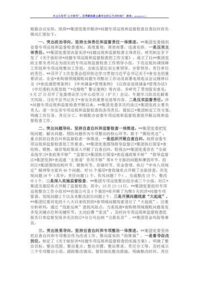 国企集团公司党委开展粮食领域自查自纠进展情况汇报