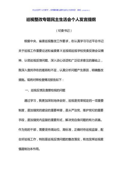 巡视整改专题民主生活会个人发言提纲
