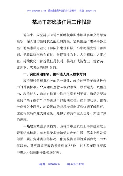 某局干部选拔任用工作报告