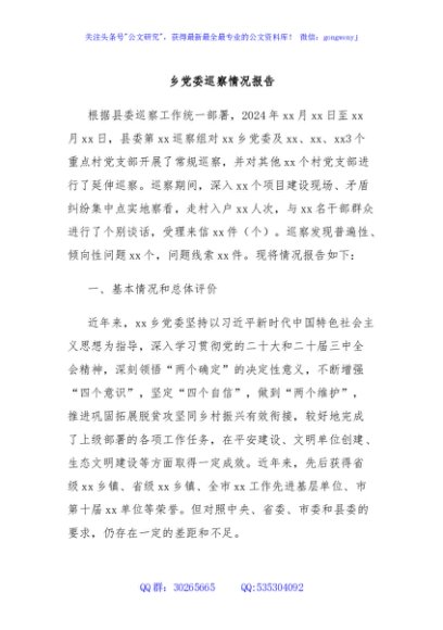 乡党委巡察情况报告