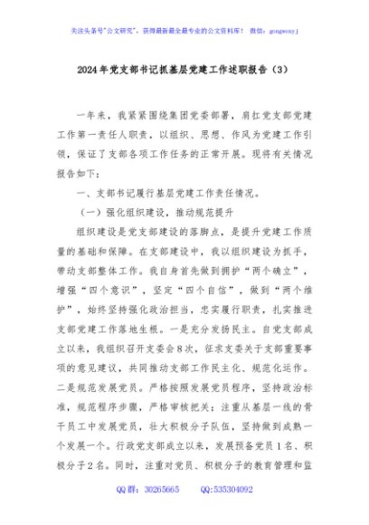 2024年党支部书记抓基层党建工作述职报告（3）