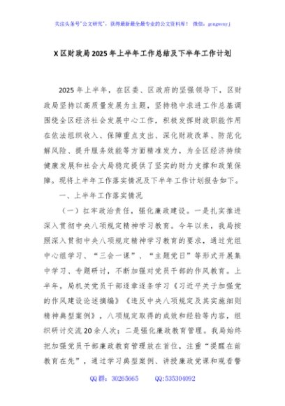 X区财政局2025年上半年工作总结及下半年工作计划