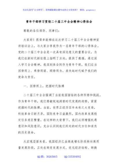 青年干部学习贯彻二十届三中全会精神心得体会