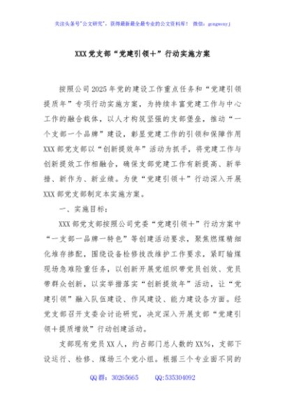 XXX党支部“党建引领＋”行动实施方案