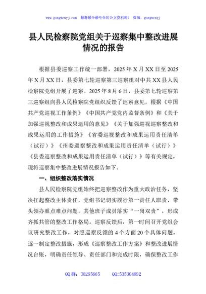 县人民检察院党组关于巡察集中整改进展情况的报告