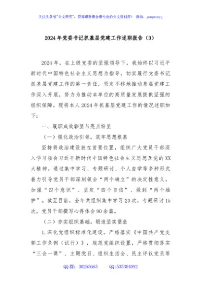 2024年党委书记抓基层党建工作述职报告（3）