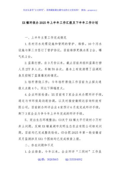 XX镇环保办2025年上半年工作汇报及下半年工作计划