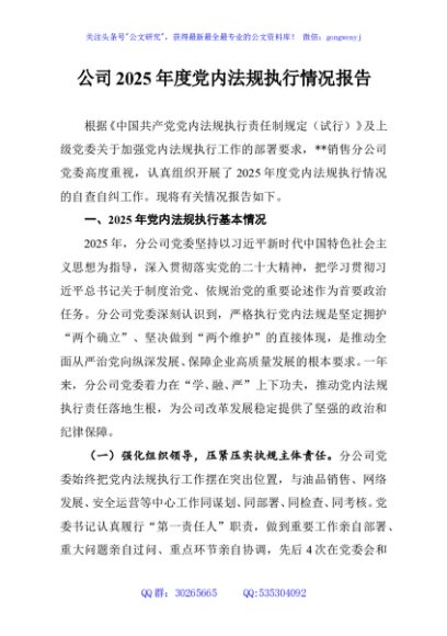 公司2025年度党内法规执行情况报告