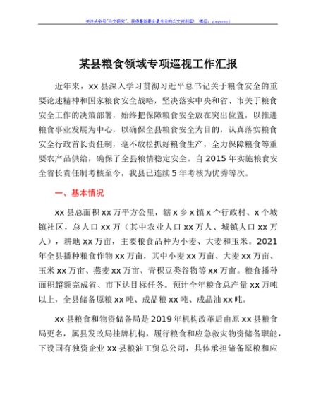 某县粮食领域专项巡视工作汇报