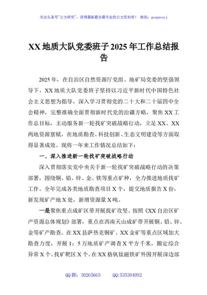 XX地质大队党委班子2025年工作总结报告