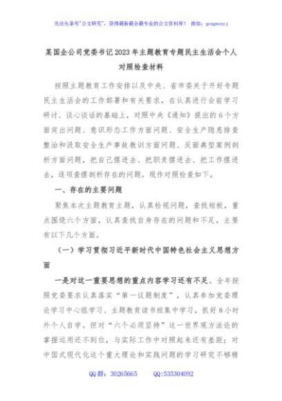 某国企公司党委书记2023年主题教育专题民主生活会个人对照检查材料