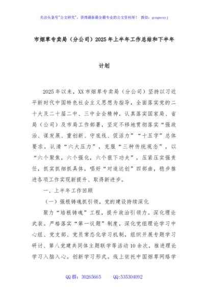 市烟草专卖局（分公司）2025年上半年工作总结和下半年计划