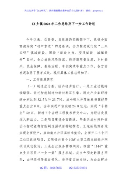 XX乡镇2024年工作总结及下一步工作计划