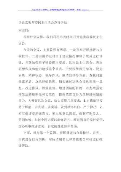国企党委常委民主生活会点评讲话