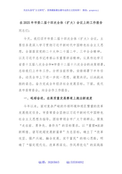 在2025年市委二届十四次全体（扩大）会议上的工作报告