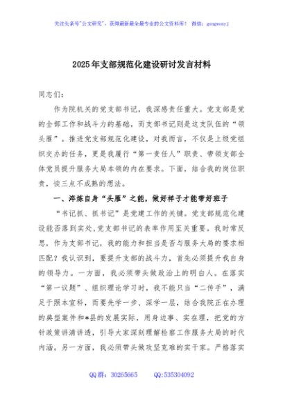 2025年支部规范化建设研讨发言材料