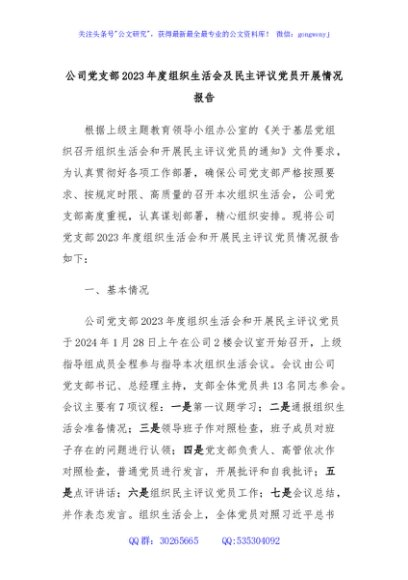 公司党支部2023年度组织生活会及民主评议党员开展情况报告