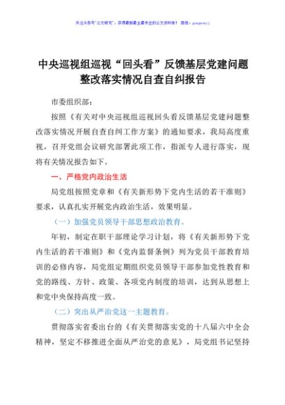 巡视“回头看”反馈基层党建问题整改落实情况自查自纠报告