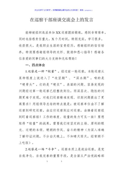 在巡察干部座谈交流会上的发言