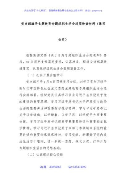 党支部班子主题教育专题组织生活会对照检查材料（集团公司）