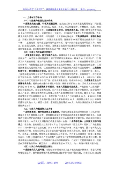 镇2023年上半年工作总结及下半年工作计划