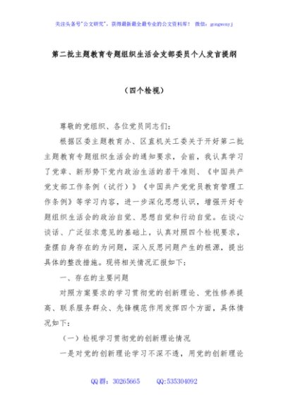 第二批主题教育专题组织生活会支部委员个人发言提纲（四个检视）