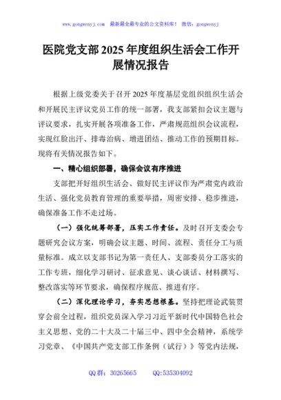 医院党支部2025年度组织生活会工作开展情况报告