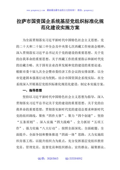 拉萨市国资国企系统基层党组织标准化规范化建设实施方案