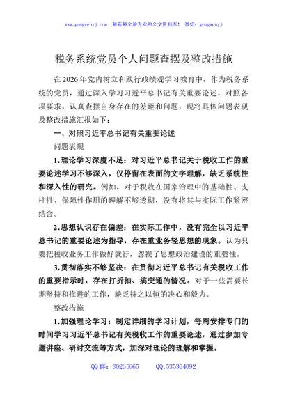 税务系统党员个人问题查摆及整改措施