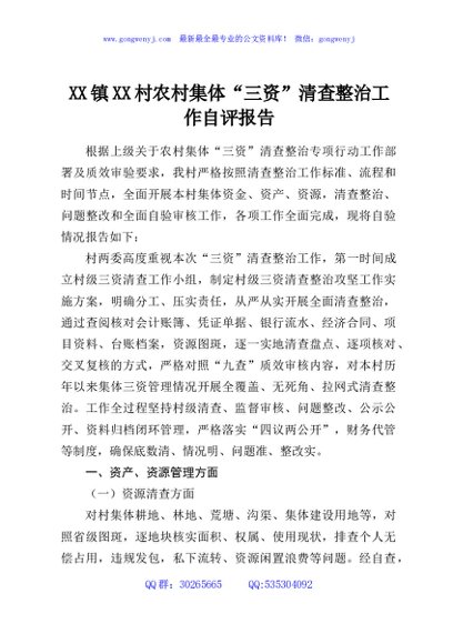 XX镇XX村农村集体“三资”清查整治工作自评报告