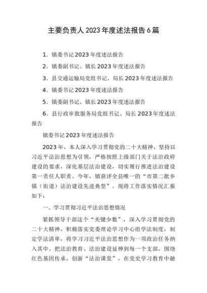 主要负责人述法报告合集6篇