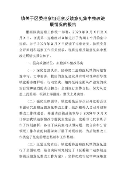 乡镇巡察反馈意见集中整改进展情况报告（1万字）