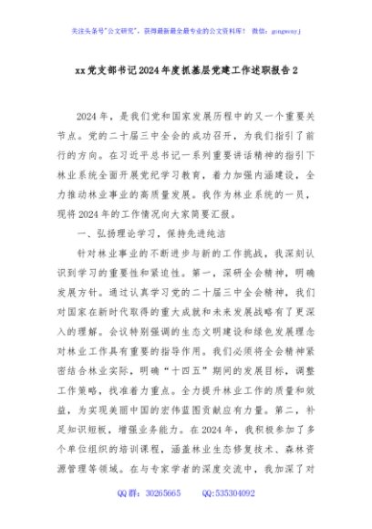 xx党支部书记2024年度抓基层党建工作述职报告2