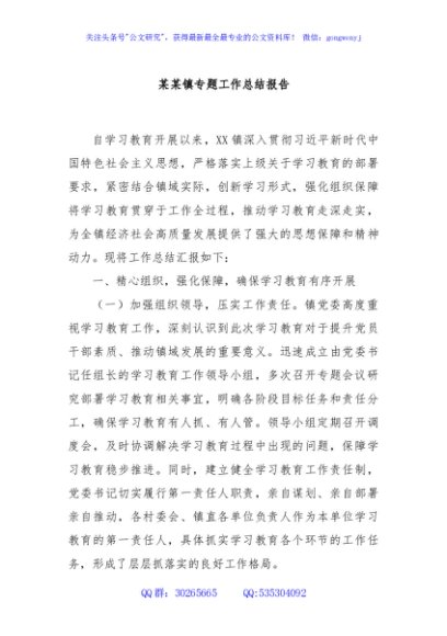 某某镇专题工作总结报告
