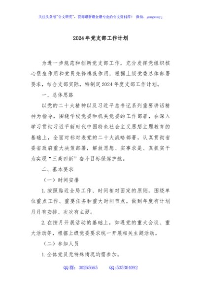 2024年党支部工作计划