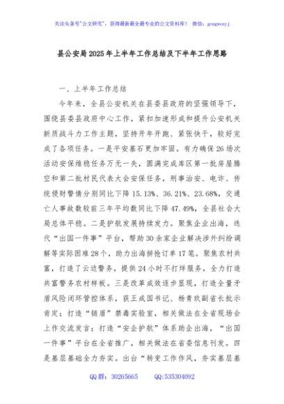 县公安局2025年上半年工作总结及下半年工作思路