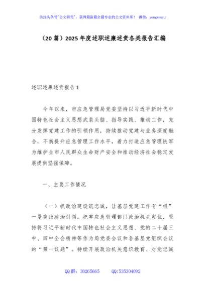 （20篇）2025年度述职述廉述责各类报告汇编