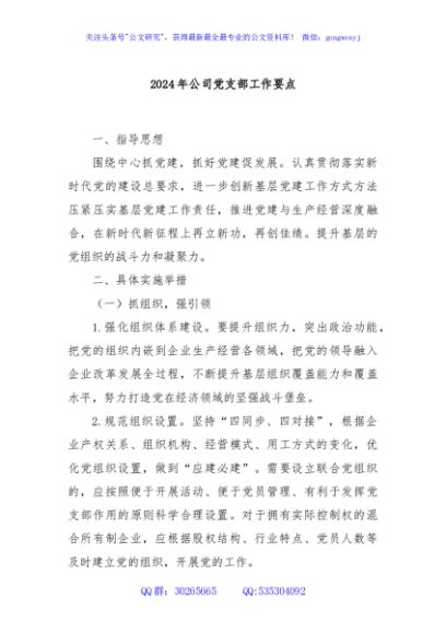 2024年公司党支部工作要点