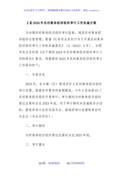 X县2024年农村集体经济组织审计工作实施方案