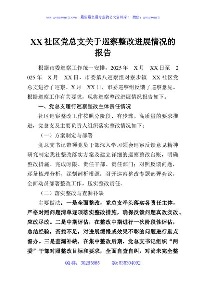 XX社区党总支关于巡察整改进展情况的报告