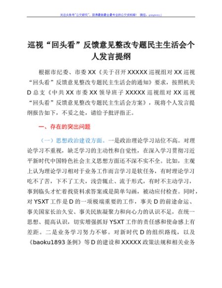 巡视“回头看”反馈意见整改专题民主生活会个人发言提纲